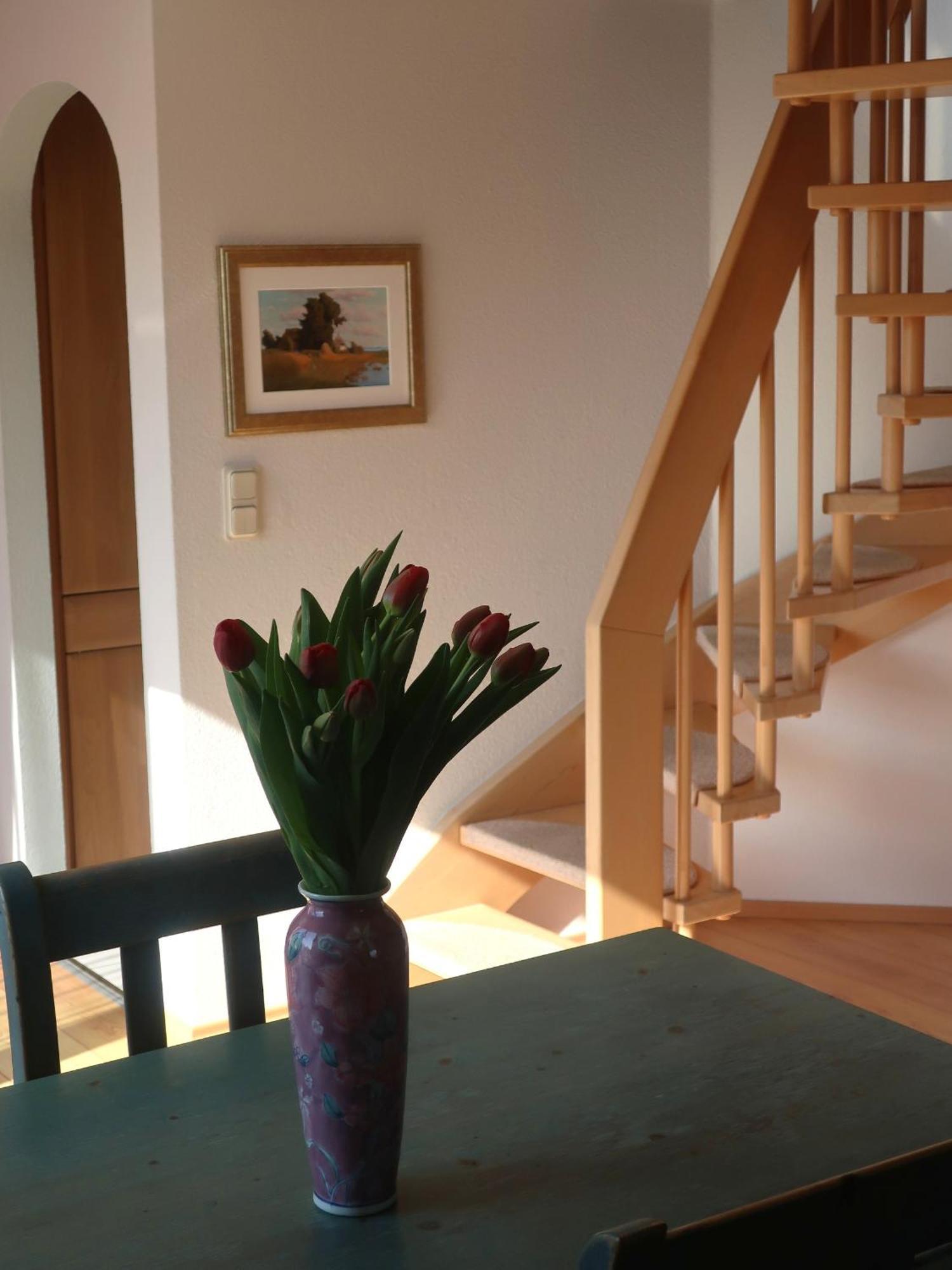 Apartment Haus Lagune